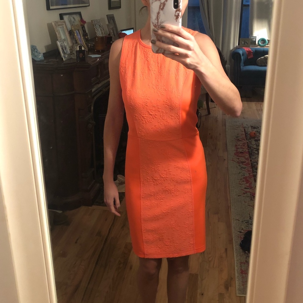Rachel Roy Dress!